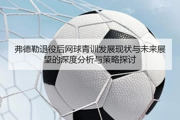 弗德勒退役后网球青训发展现状与未来展望的深度分析与策略探讨